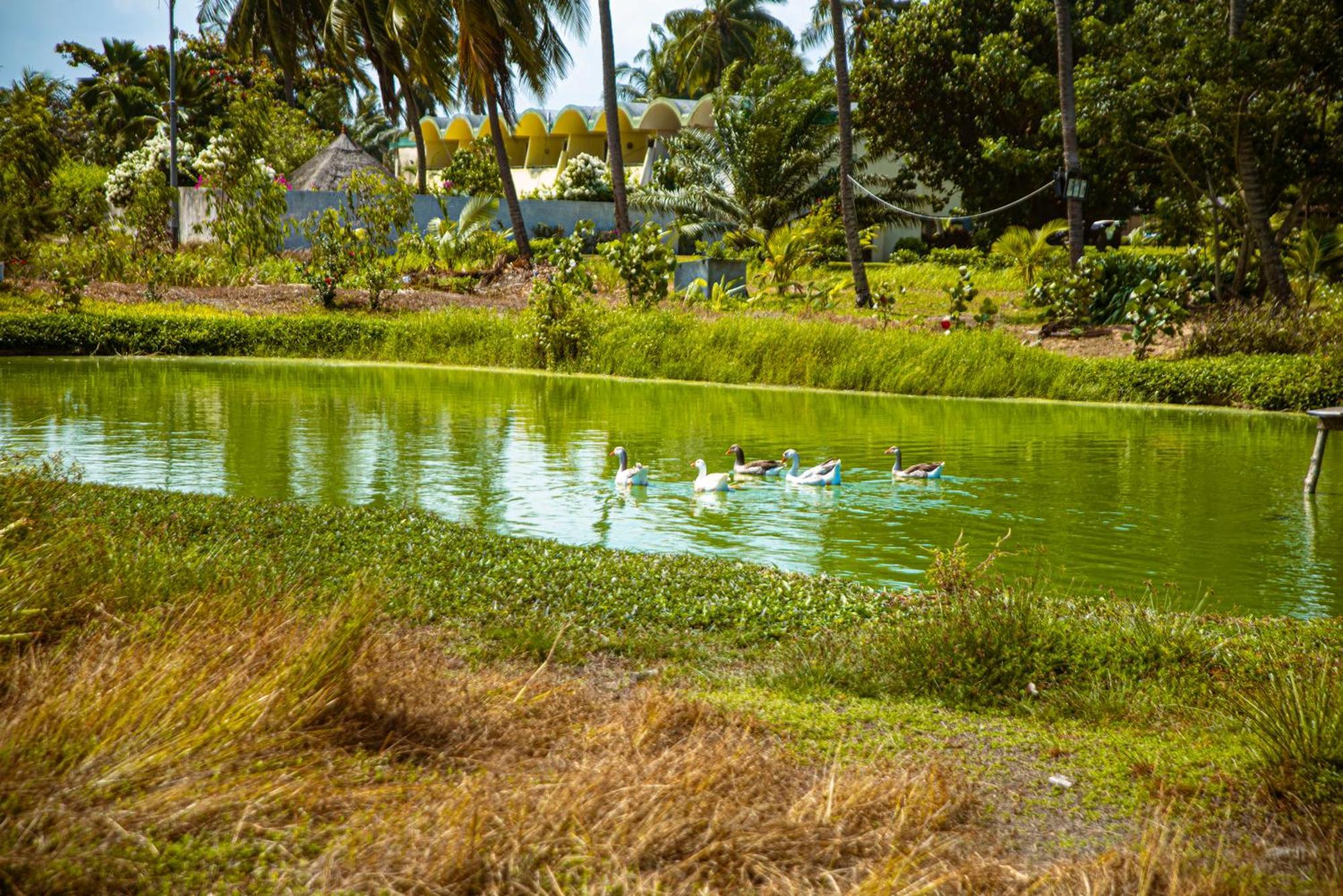 Hotel Sarakawa Lomé Exteriér fotografie
